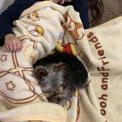 「はじめてのびょういん」サムネイル1