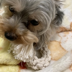 「はじめてのびょういん」サムネイル2