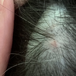 「はじめてのびょういん」サムネイル3