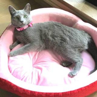 【3/31東日本橋】甘えん坊の小悪魔♡ディアナ