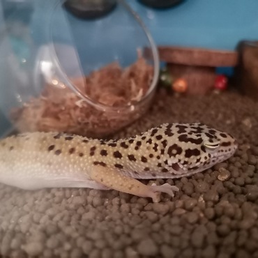 お腹暖めちゅうー★