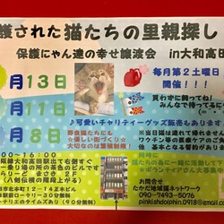 たかだ地域猫ネットワークin大和高田市