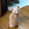 。まる。