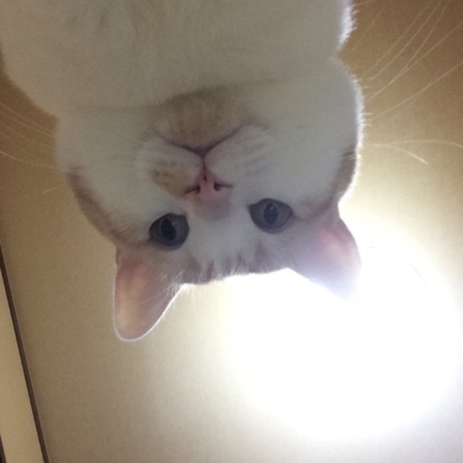 。まる。のカバー写真