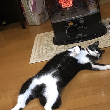 の写真