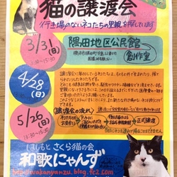 猫の譲渡会in橋本市♡ はしもとさくら猫の会 和歌にゃんず