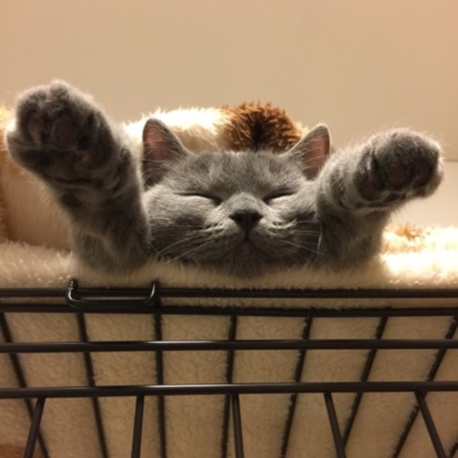 アイみょんのカバー写真