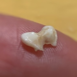 「はぁ？？？」サムネイル2