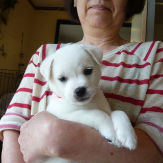 明るく元気な女の子