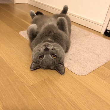 の写真