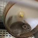 －－－－－－－締め切り－－－－－－－