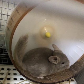 －－－－－－－締め切り－－－－－－－