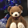 くまぽん121さん
