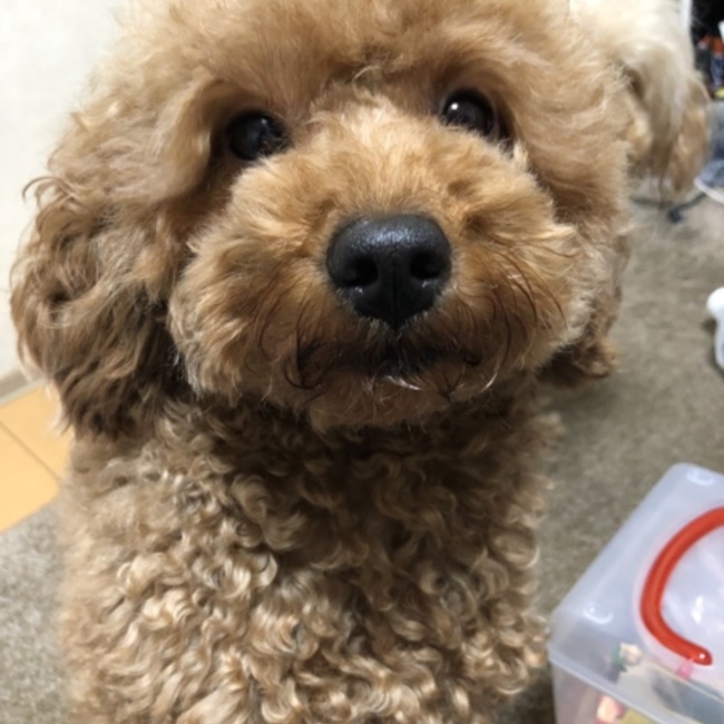 m.まーのカバー写真