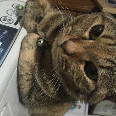 の写真