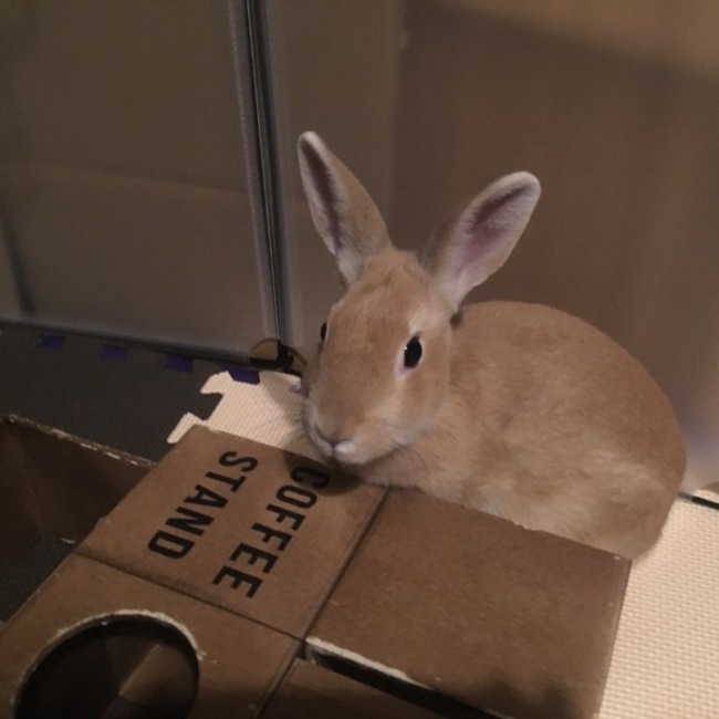 mis@のカバー写真