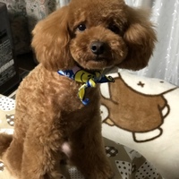 レオ