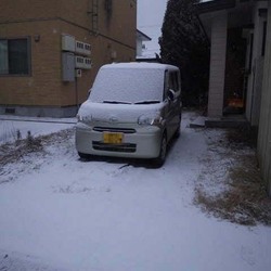 「冬毛を引っこ抜いてやったぜぃ(笑)」サムネイル1