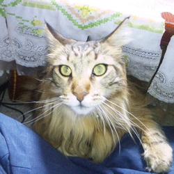 「冬毛を引っこ抜いてやったぜぃ(笑)」サムネイル2