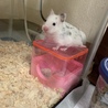 の写真