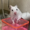 新しいおうちを探検中