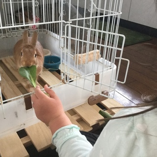 有難う御座いました。