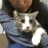 アッちゃん