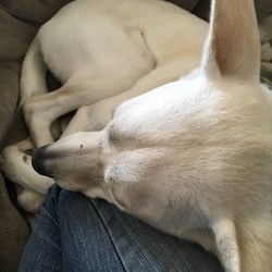 「激甘」サムネイル3