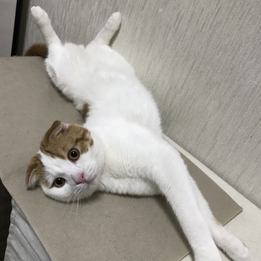 の写真
