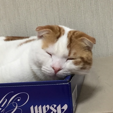 の写真