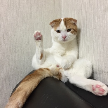 みずくん一才なりました。