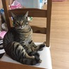 ふく