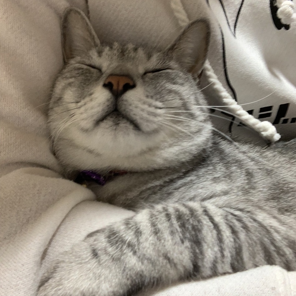 ろきのカバー写真