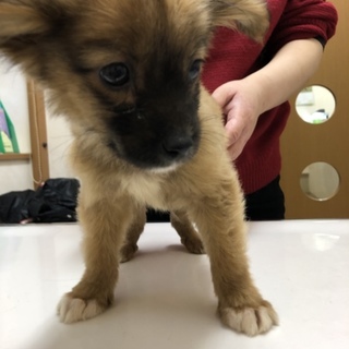 控えめなトモくん