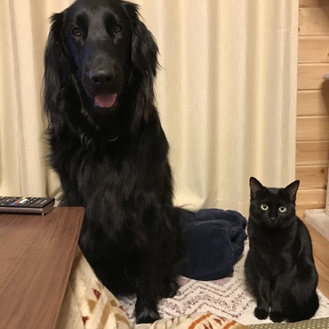 けんたろうの写真