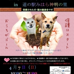 犬と猫のあたらしいおうちがほしいよin道の駅みはら神明の里