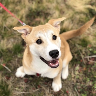 8ヶ月男の子 たすく