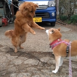 ♡誰とでも〜〜♪♪♡