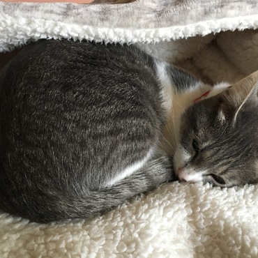 大好きな毛布でおやすみなさい⭐