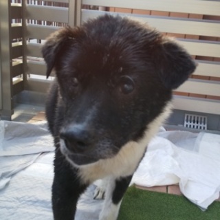 トライアル中です。