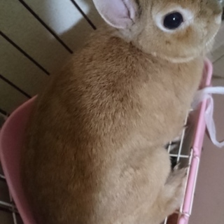 元気な女の子です✨