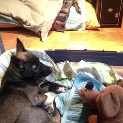 トライアル5日目　食欲がすごい