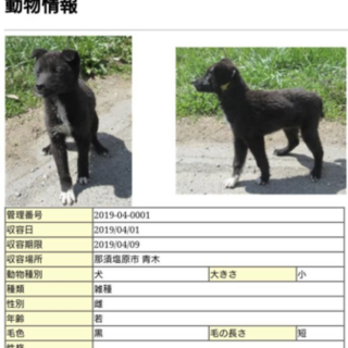 よい方にめぐりあえました！