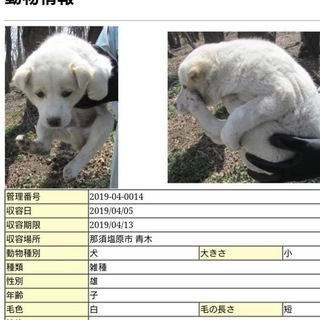 引き出し。問い合わせありがとうございました