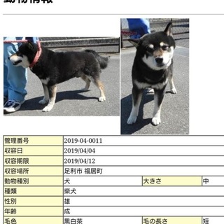 収容情報から削除されました！