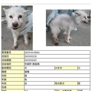 天国でご飯沢山たべてね