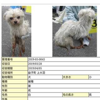 個人譲渡希望者有