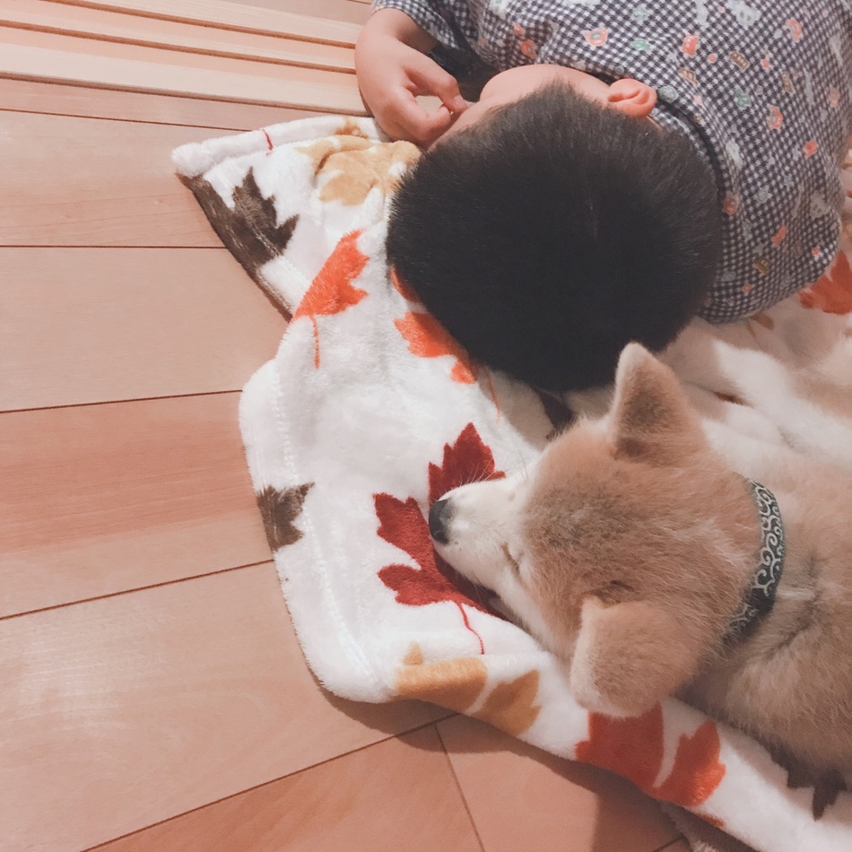おとのカバー写真