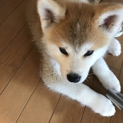 おと2日目の朝。