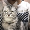 幾